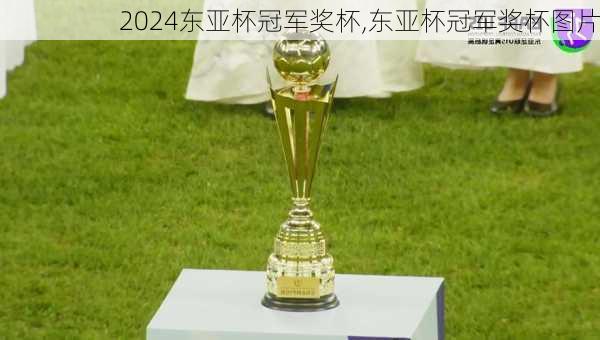 东亚杯冠军奖杯,东亚杯冠军奖杯图片
