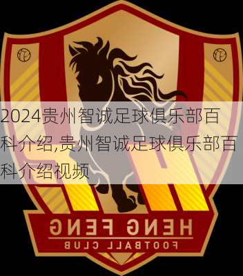 贵州智诚足球俱乐部百科介绍,贵州智诚足球俱乐部百科介绍视频