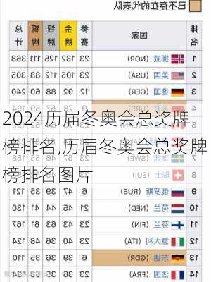 历届冬奥会总奖牌榜排名,历届冬奥会总奖牌榜排名图片