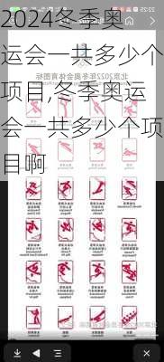 冬季奥运会一共多少个项目,冬季奥运会一共多少个项目啊