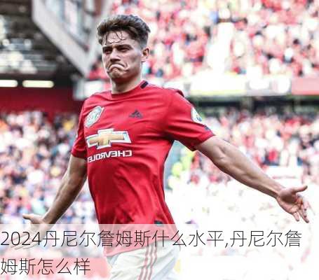丹尼尔詹姆斯什么水平,丹尼尔詹姆斯怎么样