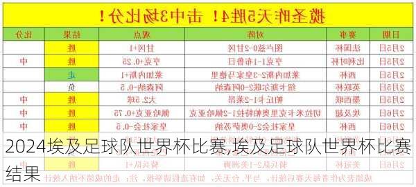 埃及足球队世界杯比赛,埃及足球队世界杯比赛结果