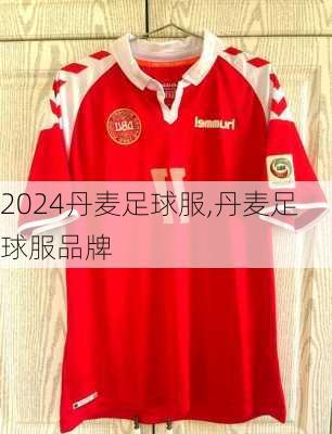 丹麦足球服,丹麦足球服品牌
