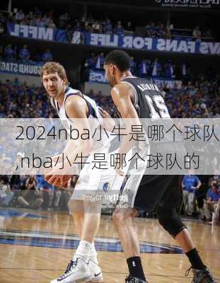 nba小牛是哪个球队,nba小牛是哪个球队的