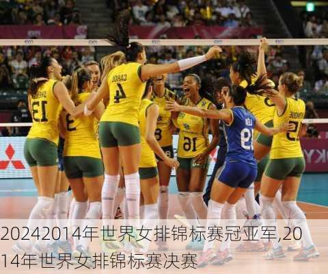 2014年世界女排锦标赛冠亚军,2014年世界女排锦标赛决赛