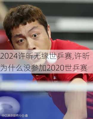 许昕无缘世乒赛,许昕为什么没参加2020世乒赛