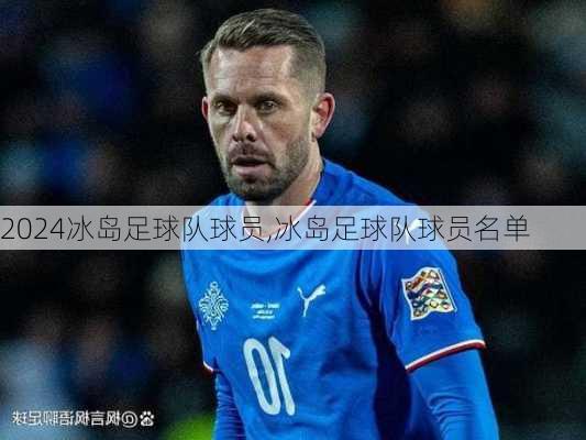 冰岛足球队球员,冰岛足球队球员名单