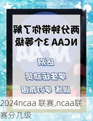 ncaa 联赛,ncaa联赛分几级