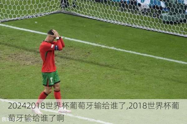 2018世界杯葡萄牙输给谁了,2018世界杯葡萄牙输给谁了啊