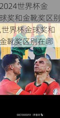 世界杯金球奖和金靴奖区别,世界杯金球奖和金靴奖区别在哪