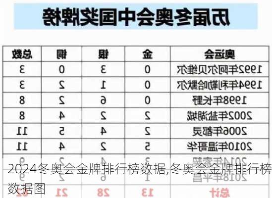 冬奥会金牌排行榜数据,冬奥会金牌排行榜数据图