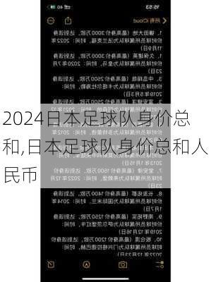 日本足球队身价总和,日本足球队身价总和人民币