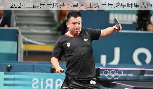 王臻乒乓球是哪里人,王臻乒乓球是哪里人啊
