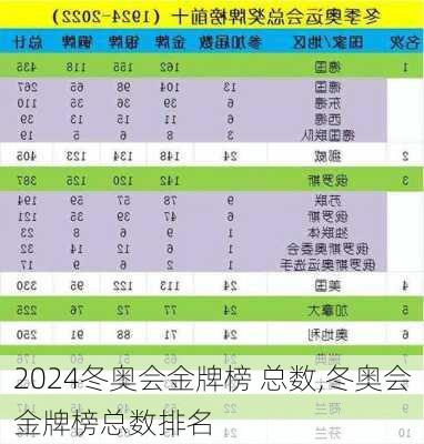 冬奥会金牌榜 总数,冬奥会金牌榜总数排名