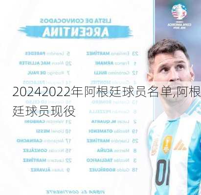 2022年阿根廷球员名单,阿根廷球员现役