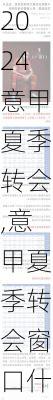 意甲夏季转会,意甲夏季转会窗口什么时候关闭