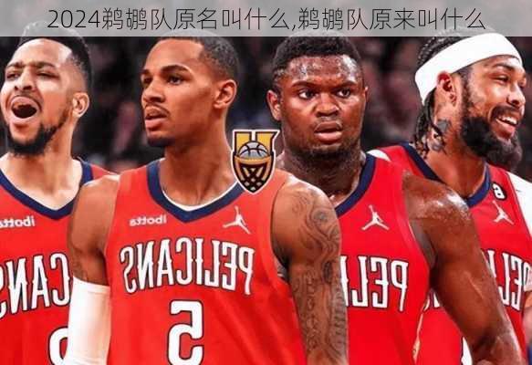 鹈鹕队原名叫什么,鹈鹕队原来叫什么