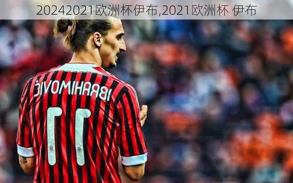2021欧洲杯伊布,2021欧洲杯 伊布