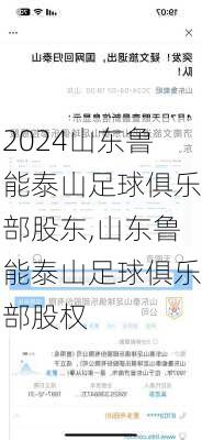 山东鲁能泰山足球俱乐部股东,山东鲁能泰山足球俱乐部股权