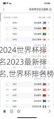 世界杯排名2023最新排名,世界杯排名榜