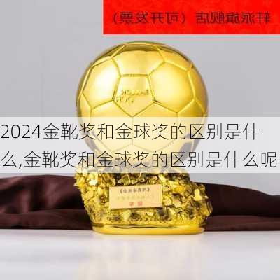 金靴奖和金球奖的区别是什么,金靴奖和金球奖的区别是什么呢