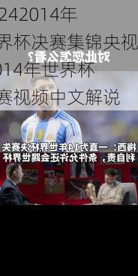 2014年世界杯决赛集锦央视,2014年世界杯决赛视频中文解说