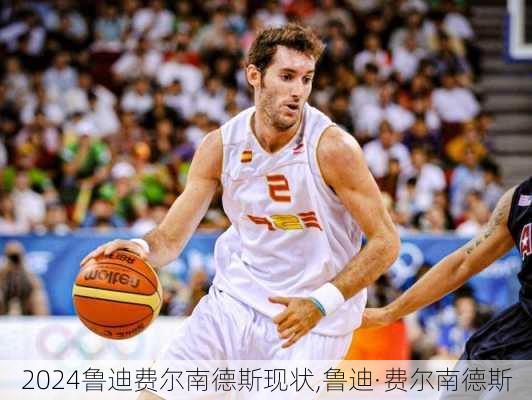 鲁迪费尔南德斯现状,鲁迪·费尔南德斯