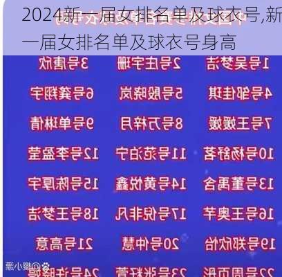 新一届女排名单及球衣号,新一届女排名单及球衣号身高