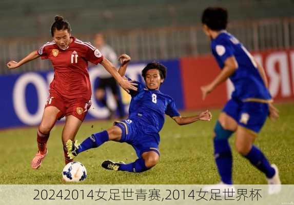 2014女足世青赛,2014女足世界杯