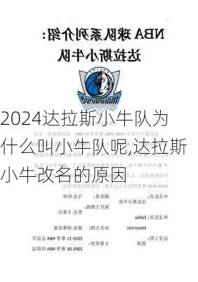 达拉斯小牛队为什么叫小牛队呢,达拉斯小牛改名的原因
