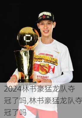 林书豪猛龙队夺冠了吗,林书豪猛龙队夺冠了吗