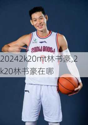 2k20mt林书豪,2k20林书豪在哪