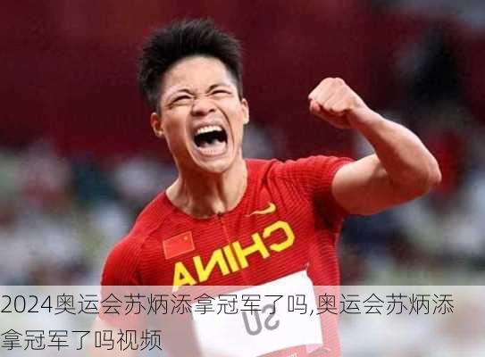 奥运会苏炳添拿冠军了吗,奥运会苏炳添拿冠军了吗视频