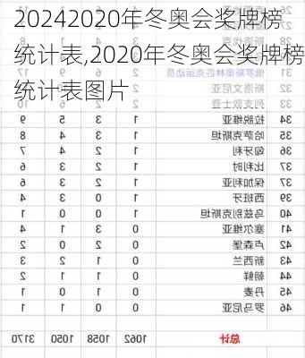 2020年冬奥会奖牌榜统计表,2020年冬奥会奖牌榜统计表图片