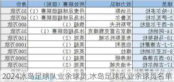 冰岛足球队业余球员,冰岛足球队业余球员名单