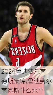 鲁迪费尔南德斯集锦,鲁迪费尔南德斯什么水平