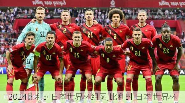 比利时日本世界杯组图,比利时 日本 世界杯