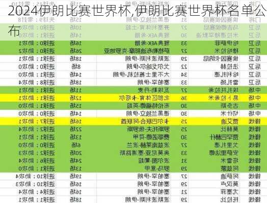 伊朗比赛世界杯,伊朗比赛世界杯名单公布