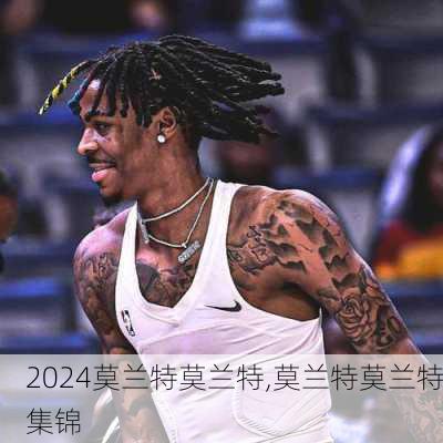 莫兰特莫兰特,莫兰特莫兰特集锦
