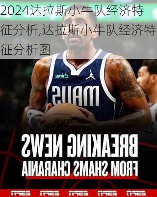 达拉斯小牛队经济特征分析,达拉斯小牛队经济特征分析图
