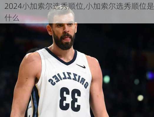 小加索尔选秀顺位,小加索尔选秀顺位是什么