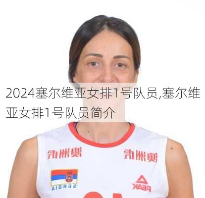 塞尔维亚女排1号队员,塞尔维亚女排1号队员简介