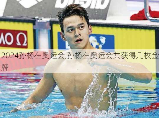 孙杨在奥运会,孙杨在奥运会共获得几枚金牌