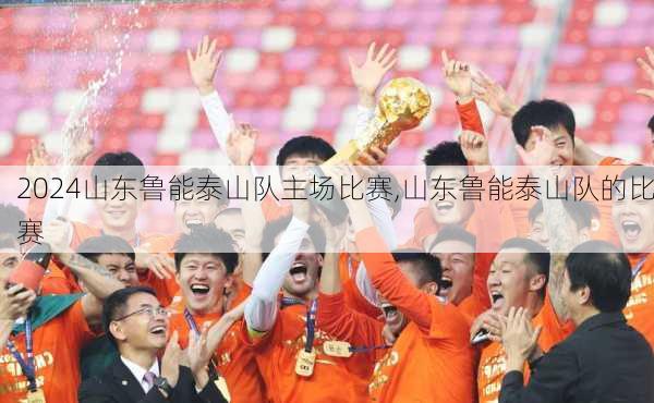 山东鲁能泰山队主场比赛,山东鲁能泰山队的比赛