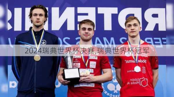 瑞典世界杯决赛,瑞典世界杯冠军