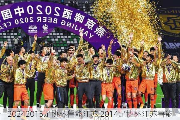 2015足协杯鲁能江苏,2014足协杯江苏鲁能