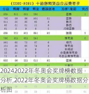 2022年冬奥会奖牌榜数据分析,2022年冬奥会奖牌榜数据分析图