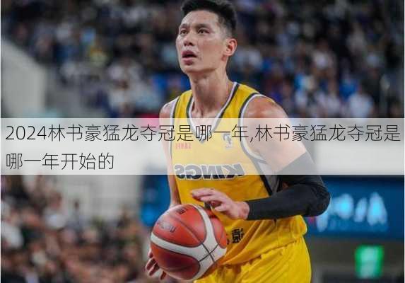 林书豪猛龙夺冠是哪一年,林书豪猛龙夺冠是哪一年开始的