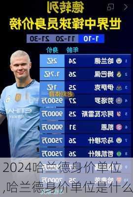 哈兰德身价单位,哈兰德身价单位是什么