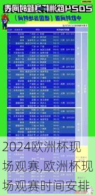 欧洲杯现场观赛,欧洲杯现场观赛时间安排
